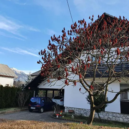 Apartma Take It Easy Appartamento *