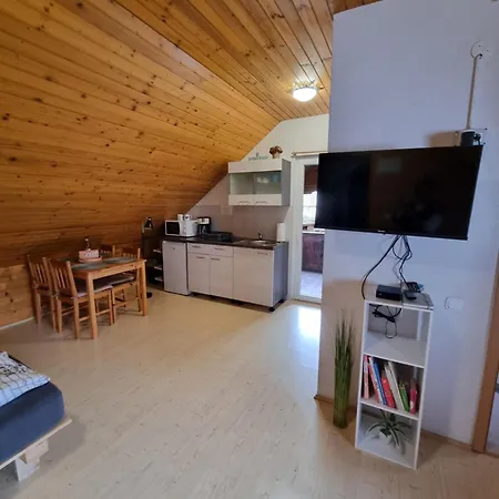 Apartma Take It Easy Apartment
