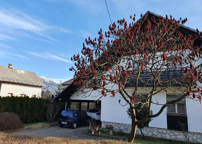 Apartma Take It Easy 公寓 *