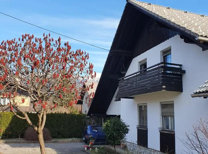 Apartma Take It Easy 公寓