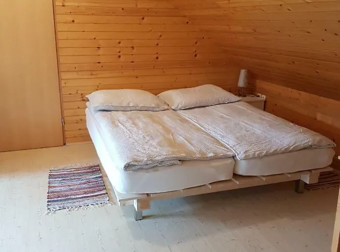 Apartma Take It Easy * 布莱德