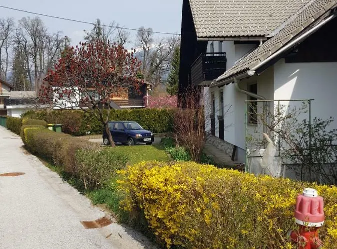 Apartma Take It Easy 公寓 布莱德